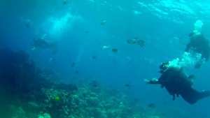Sharm el-Sheikh Coral Reef