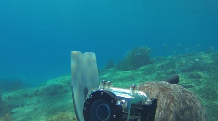 Apnea a Capo Carbonara Sardegna Intotheblue.it